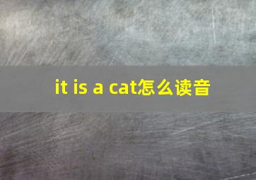 it is a cat怎么读音